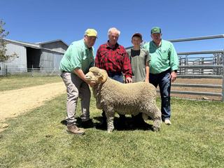 Wool producer seals third sale-topping ram of the season at Grathlyn sale