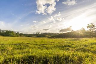 'Rosehill", Takilberan Auction by Hourn & Bishop