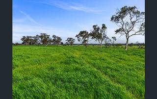 281 Crower Road, Avenue Range For Sale by Miller Whan & John