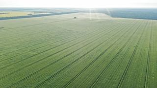 3531 Goodar Road , Goodar For Sale by JLL Agribusiness