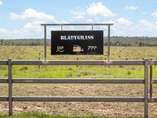 'Blady Grass', Taroom Auction by Hourn & Bishop