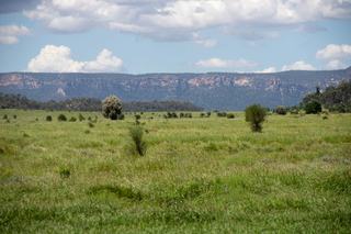 Blackwater Rolleston Road, Blackwater Auction by PLPM Progressive Livestock & Property Marketing