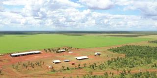 NT Cattle Property For Sale WIWO, Boasts Quality Soils, Water + Infrastructure