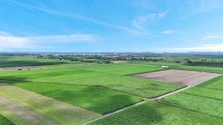 Productive Farmland For Sale QLD With Lifestyle Upside