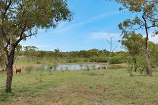 Breeding + Backgrounding Property For Sale Nebo QLD
