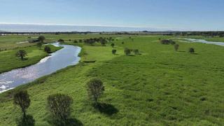 Floodplain Cattle Property For Sale QLD Punches Above Its Weight