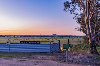 Exceptional Cropping + Grazing Property For Sale NSW