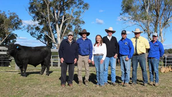 Urban Angus Annual Bull sale