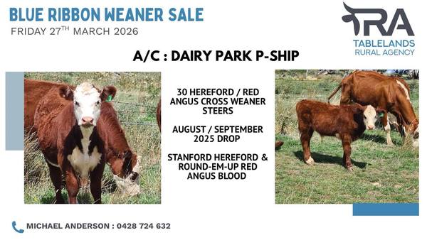 CTLX Carcoar Blue Ribbon Weaner Sale - 7,000 Head
