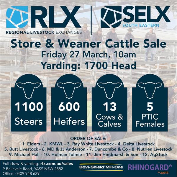 SELX South Eastern Weaner & Store Sale – 1,500 Head