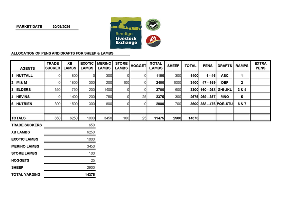 Bendigo Livestock Exchange: 11,250 Head – Monday, March 30, 2026
