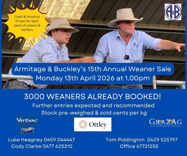 Armitage & Buckley 15th Annual Weaner Sale — 4,000 Head New England Weaners