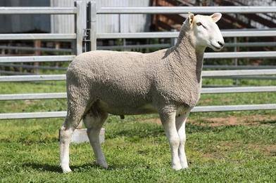 Castle Camps On-Property sale