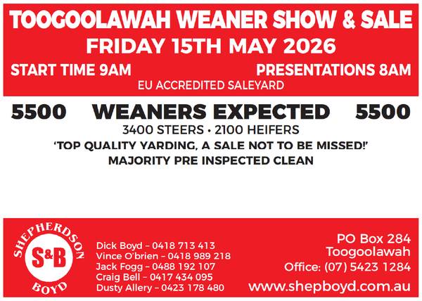 Shepherdson & Boyd Toogoolawah Weaner Show & Sale – 5,500 Head