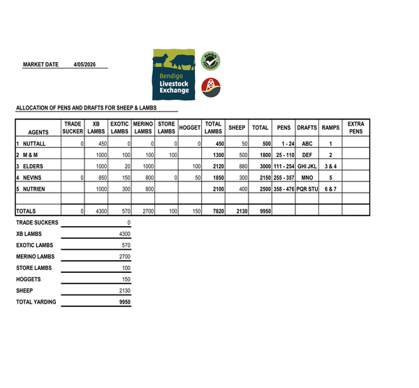 Bendigo Livestock Exchange: 9,950 Head Total Yarding – Monday, 4th May 2026