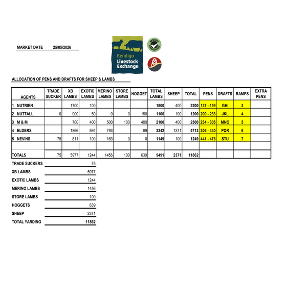 Bendigo Livestock Exchange Sale – 11,862 Head Total Yarding (25/05/2026)