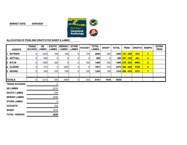 Bendigo Livestock Exchange Weekly Sheep & Lambs Sale | 9,839 Head