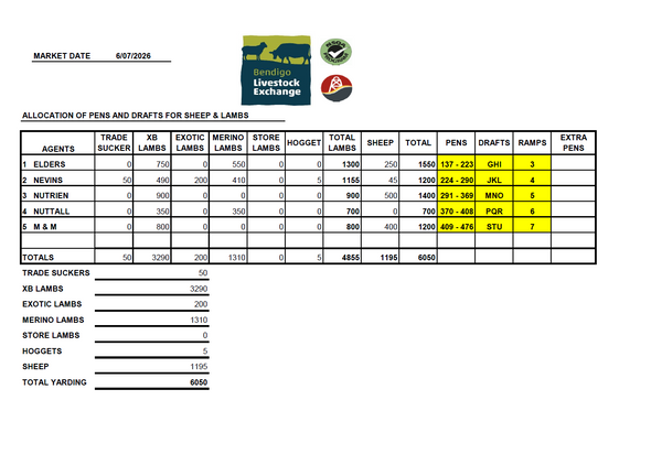 Bendigo Livestock Exchange Weekly Sheep & Lamb Sale — 6,050 Head