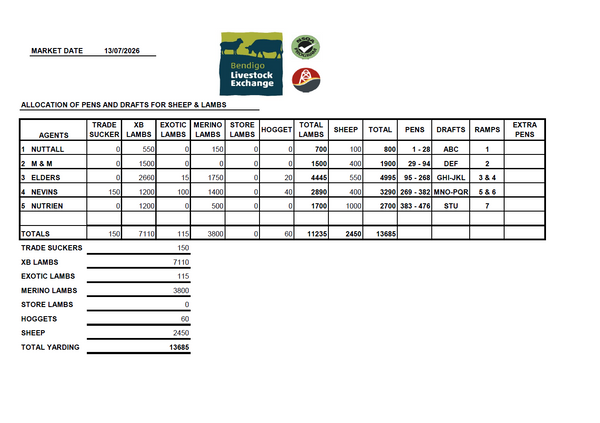 Bendigo Livestock Exchange Sheep & Lamb Sale | 13,685 Head Yarding