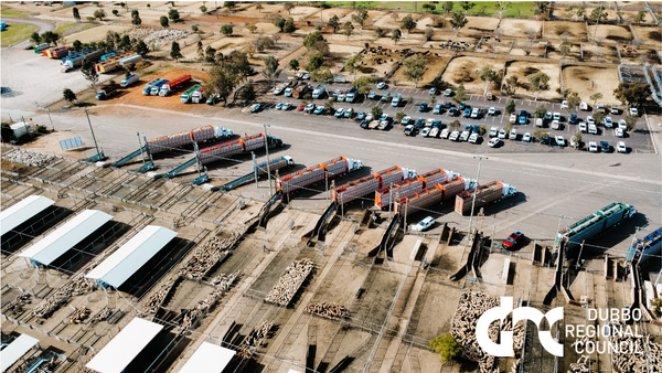 Dubbo Stock & Station Agents Store Cattle Sale – 2,000 Head Cattle