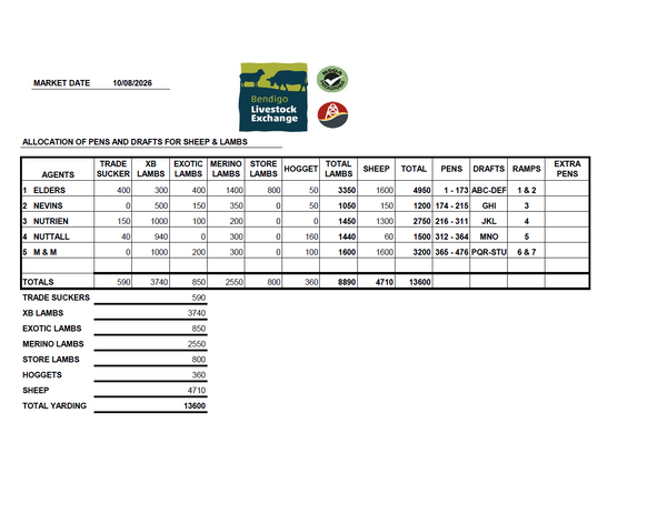 Weekly Sheep & Lamb Sale – 13,600 Head
