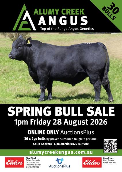 ALUMY CREEK ANGUS ONLINE SPRING BULL SALE