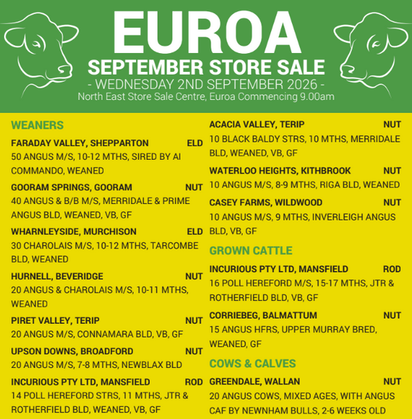 Euroa North East Store Sale Centre September Store Sale – 380+ Head Cattle