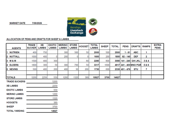 Weekly Sheep & Lamb Sale - 14,627 Head