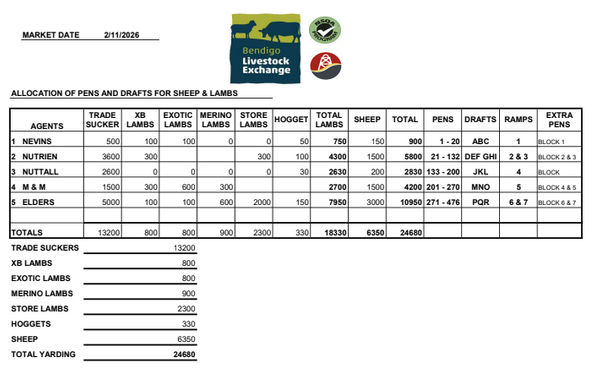 Bendigo Livestock Exchange Weekly Sheep & Lamb Sale - 24,680 head
